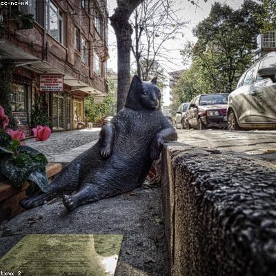 Organic Raw Almonds (Certified)