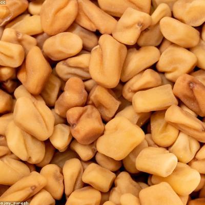 Fenugreek Seeds (Methi)